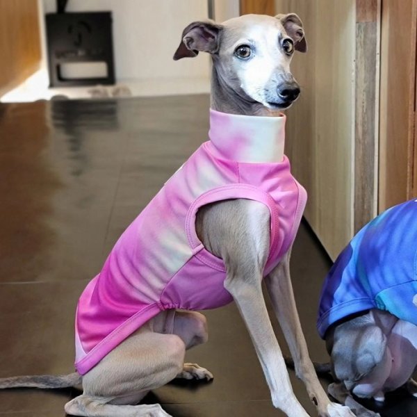 画像21: イタグレ服 S M L XL 2XL 3XL 接触冷感 クールベスト 小型犬 中型犬 大型犬 夏服 熱中症対策 doggystar ドッギースター 蛍光色 即日発送致します (21)