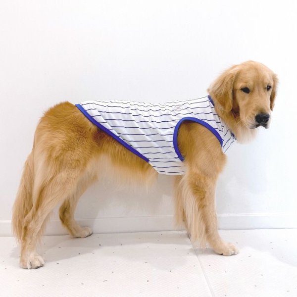 画像1: 大型犬 服 6XL Tシャツ 犬服 接触 冷感 Tシャツ 野球ユニフォーム ストライプ  ひんやり クール ベスト 大型犬 熱中症対策  (1)