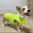 画像14: ウェルシュ コーギー 服 5XL接触冷感 クールベスト Tシャツ 無地 中型犬 大型犬 春夏 コーギー おしゃれ 犬 洋服 doggystar ドッギースター (14)