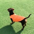 画像10: ダックスフンド 服 接触冷感 クールベスト Tシャツ 無地 小型犬 中型犬 S M L XL 春夏 ダックス おしゃれ 犬 洋服 doggystar ドッギースター (10)