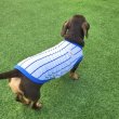 画像16: ダックスフンド 服 接触冷感 野球 ユニフォーム クールベスト Tシャツ 小型犬 中型犬 S M L XL 春夏 ダックス おしゃれ 犬 洋服 doggystar ドッギースター 即日発送できます (16)