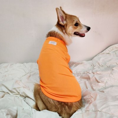 画像2: ウェルシュ コーギー 服 2XL接触冷感 クールベスト Tシャツ 無地 中型犬 大型犬 春夏 コーギー おしゃれ 犬 洋服 doggystar ドッギースター