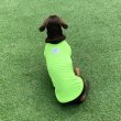 画像12: ダックスフンド 服 接触冷感 クールベスト Tシャツ 無地 小型犬 中型犬 S M L XL 春夏 ダックス おしゃれ 犬 洋服 doggystar ドッギースター (12)