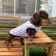 画像15: ダックスフンド 服 接触冷感 野球 ユニフォーム クールベスト Tシャツ 小型犬 中型犬 S M L XL 春夏 ダックス おしゃれ 犬 洋服 doggystar ドッギースター 即日発送できます (15)