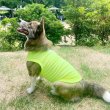 画像13: ウェルシュ コーギー 服 3XL接触冷感 クールベスト Tシャツ 無地 中型犬 大型犬 春夏 コーギー おしゃれ 犬 洋服 doggystar ドッギースター (13)