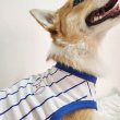 画像12: ウェルシュ コーギー 服 4XL接触冷感 野球 ユニフォーム クールベスト Tシャツ ストライプ 中型犬 大型犬 春夏 コーギー おしゃれ 犬 洋服 doggystar ドッギースター (12)