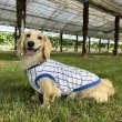 画像1: ダックスフンド 服 接触冷感 野球 ユニフォーム クールベスト Tシャツ 小型犬 中型犬 S M L XL 春夏 ダックス おしゃれ 犬 洋服 doggystar ドッギースター 即日発送できます (1)