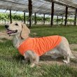 画像1: ダックスフンド 服 接触冷感 クールベスト Tシャツ 無地 小型犬 中型犬 S M L XL 春夏 ダックス おしゃれ 犬 洋服 doggystar ドッギースター (1)