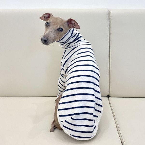 画像19: イタグレ服 S M L XL 2XL 3XL ボーダーシンプル長袖Tシャツ 小型犬 中型犬 大型犬 春 夏 秋 冬 doggystar ドッギースター 即日発送出来ます (19)
