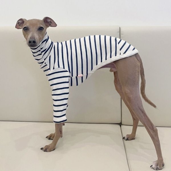画像1: イタグレ服 S M L XL 小型犬 中型犬 春夏秋冬 doggystar ボーダーシンプル長袖Tシャツ　 (1)