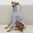 画像16: ウィペット服 3XL 大型犬 春夏秋冬 doggystar ボーダーシンプル長袖Tシャツ　 (16)