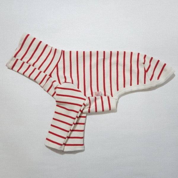 画像8: イタグレ服 S M L XL 2XL 3XL ボーダーシンプル長袖Tシャツ 小型犬 中型犬 大型犬 春 夏 秋 冬 doggystar ドッギースター 即日発送出来ます (8)