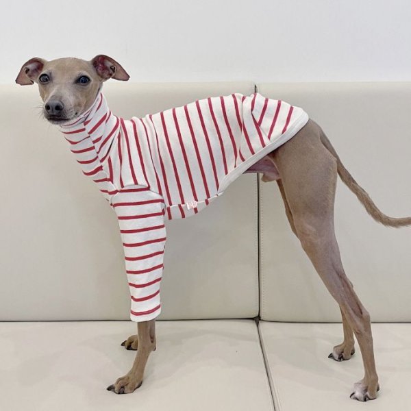 画像12: イタグレ服 S M L XL 2XL 3XL ボーダーシンプル長袖Tシャツ 小型犬 中型犬 大型犬 春 夏 秋 冬 doggystar ドッギースター 即日発送出来ます (12)