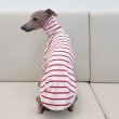 画像15: ウィペット服 3XL 大型犬 春夏秋冬 doggystar ボーダーシンプル長袖Tシャツ　 (15)