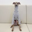 画像17: ベドリントンテリア服 2 XL 中型犬 大型犬 春夏秋冬 doggystar ボーダーシンプル長袖Tシャツ (17)