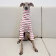 画像13: ベドリントンテリア服 2 XL 中型犬 大型犬 春夏秋冬 doggystar ボーダーシンプル長袖Tシャツ (13)