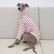 画像12: ベドリントンテリア服 2 XL 中型犬 大型犬 春夏秋冬 doggystar ボーダーシンプル長袖Tシャツ (12)