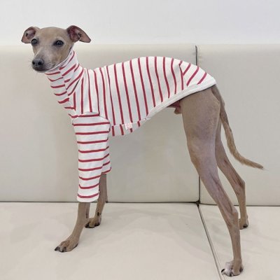 画像2: イタグレ服 S M L XL 2XL 3XL ボーダーシンプル長袖Tシャツ 小型犬 中型犬 大型犬 春 夏 秋 冬 doggystar ドッギースター 即日発送出来ます