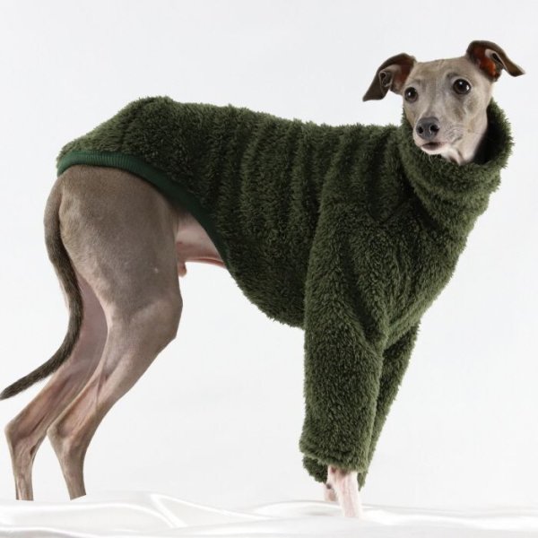 画像19: イタグレ服 S M L XL 2XL 3XL もこもこ ボア 無地 長袖 Tシャツ 小型犬 中型犬 大型犬 春 秋 冬 doggystar ドッギースター 即日発送出来ます (19)