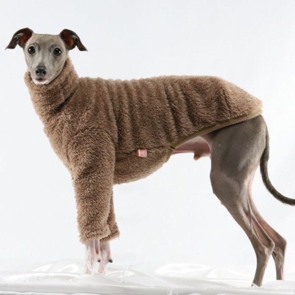 画像20: イタグレ服 S M L XL 2XL 3XL もこもこ ボア 無地 長袖 Tシャツ 小型犬 中型犬 大型犬 春 秋 冬 doggystar ドッギースター 即日発送出来ます (20)