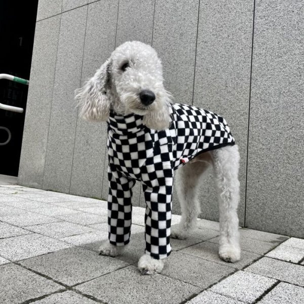 画像25: イタグレ服 S M L XL 2XL 3XL フリース 柄 長袖 Tシャツ 小型犬 中型犬 大型犬 秋 冬 doggystar ドッギースター 即日発送出来ます (25)