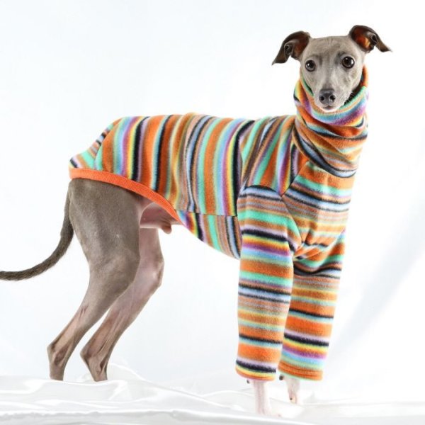 画像23: イタグレ服 S M L XL 2XL 3XL フリース 柄 長袖 Tシャツ 小型犬 中型犬 大型犬 秋 冬 doggystar ドッギースター 即日発送出来ます (23)