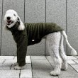 画像22: イタグレ服 S M L XL 小型犬 中型犬 春 秋 冬 doggystar もこもこ ボア 無地 長袖 Tシャツ 即日発送出来ます (22)