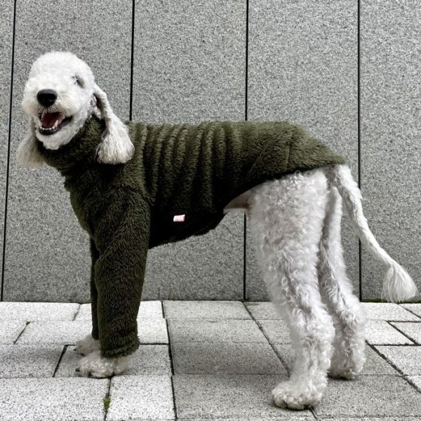 画像23: イタグレ服 S M L XL 2XL 3XL もこもこ ボア 無地 長袖 Tシャツ 小型犬 中型犬 大型犬 春 秋 冬 doggystar ドッギースター 即日発送出来ます (23)