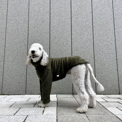 画像1: ウィペット服 3XL 大型犬 春 秋 冬 doggystar もこもこ ボア 無地 長袖 Tシャツ　即日出荷できます
