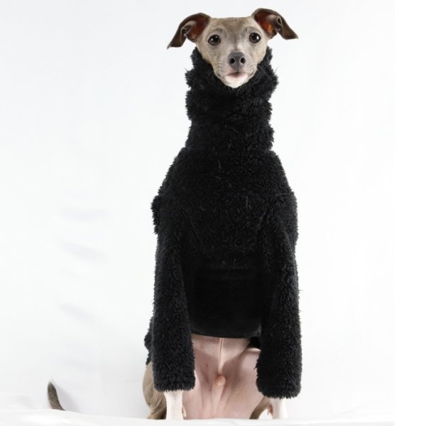 画像18: イタグレ服 S M L XL 2XL 3XL もこもこ ボア 無地 長袖 Tシャツ 小型犬 中型犬 大型犬 春 秋 冬 doggystar ドッギースター 即日発送出来ます (18)