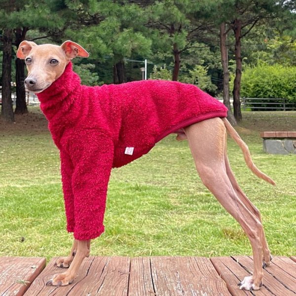 画像25: イタグレ服 S M L XL 2XL 3XL もこもこ ボア 無地 長袖 Tシャツ 小型犬 中型犬 大型犬 春 秋 冬 doggystar ドッギースター 即日発送出来ます (25)