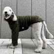 画像21: ウィペット服 3XL 大型犬 春 秋 冬 doggystar もこもこ ボア 無地 長袖 Tシャツ　即日出荷できます (21)