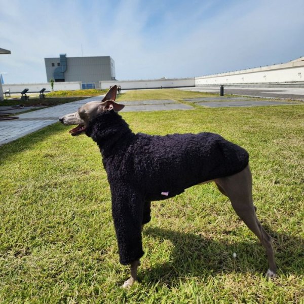 画像22: イタグレ服 S M L XL 2XL 3XL もこもこ ボア 無地 長袖 Tシャツ 小型犬 中型犬 大型犬 春 秋 冬 doggystar ドッギースター 即日発送出来ます (22)