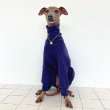 画像23: イタグレ服 S M L XL 小型犬 中型犬春 初秋 秋 冬 doggystar 無地 ロンパース  即日発送出来ます (23)