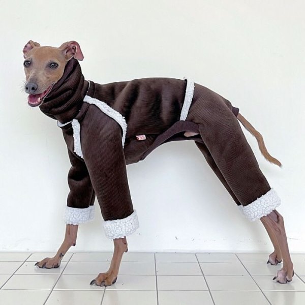 画像24: イタグレ服 S M L XL 2XL 3XL ムートン 無地 ロンパース 防寒 小型犬 中型犬 大型犬 春 初秋 秋 冬 doggystar ドッギースター 即日発送致します (24)