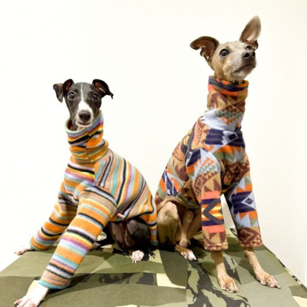 画像3: イタグレ服 S M L XL 2XL 3XL フリース 柄 長袖 Tシャツ 小型犬 中型犬 大型犬 秋 冬 doggystar ドッギースター 即日発送出来ます (3)