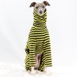 画像18: ベドリントンテリア服 2XL 中型犬 大型犬 春 初秋 秋 冬 doggystar キルティング ロンパース  即日発送出来ます  (18)