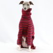 画像23: ベドリントンテリア服 2XL 中型犬 大型犬 春 初秋 秋 冬 doggystar キルティング ロンパース  即日発送出来ます  (23)