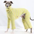 画像1: ベドリントンテリア服 2XL 中型犬 大型犬 春 初秋 秋 冬 doggystar キルティング ロンパース  即日発送出来ます  (1)