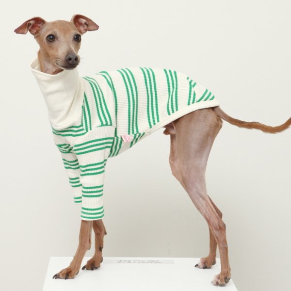 画像19: イタグレ服 S M L XL 2XL 3XL ハイネック ストライプ 長袖Tシャツ 小型犬 中型犬 大型犬 春 夏 秋 冬 doggystar ドッギースター 即日出荷出来ます (19)