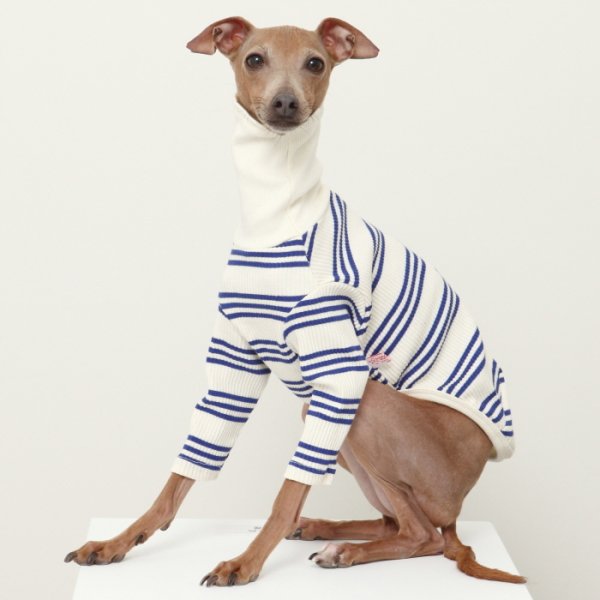 画像20: イタグレ服 S M L XL 2XL 3XL ハイネック ストライプ 長袖Tシャツ 小型犬 中型犬 大型犬 春 夏 秋 冬 doggystar ドッギースター 即日出荷出来ます (20)
