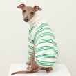 画像22: イタグレ服 S M L XL 小型犬 中型犬 春夏秋冬 ハイネック ストライプ 長袖Tシャツ 即日出荷出来ます (22)