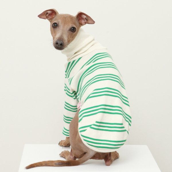 画像22: イタグレ服 S M L XL 2XL 3XL ハイネック ストライプ 長袖Tシャツ 小型犬 中型犬 大型犬 春 夏 秋 冬 doggystar ドッギースター 即日出荷出来ます (22)