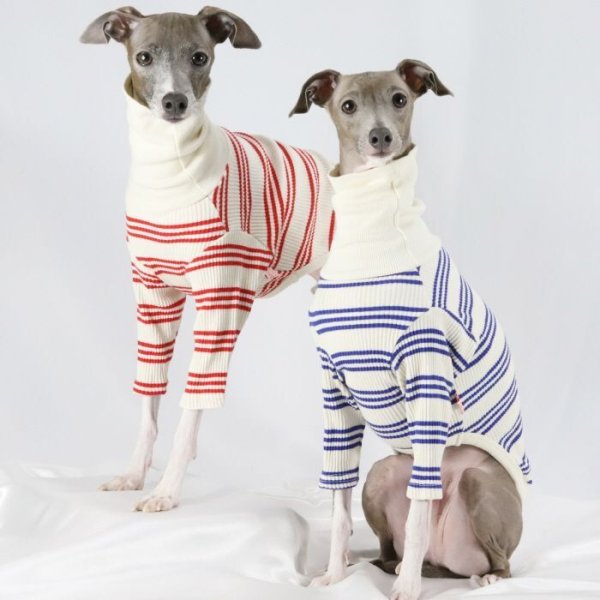 画像23: イタグレ服 S M L XL 2XL 3XL ハイネック ストライプ 長袖Tシャツ 小型犬 中型犬 大型犬 春 夏 秋 冬 doggystar ドッギースター 即日出荷出来ます (23)