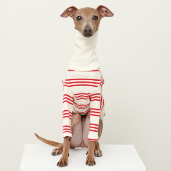 画像21: イタグレ服 S M L XL 2XL 3XL ハイネック ストライプ 長袖Tシャツ 小型犬 中型犬 大型犬 春 夏 秋 冬 doggystar ドッギースター 即日出荷出来ます (21)