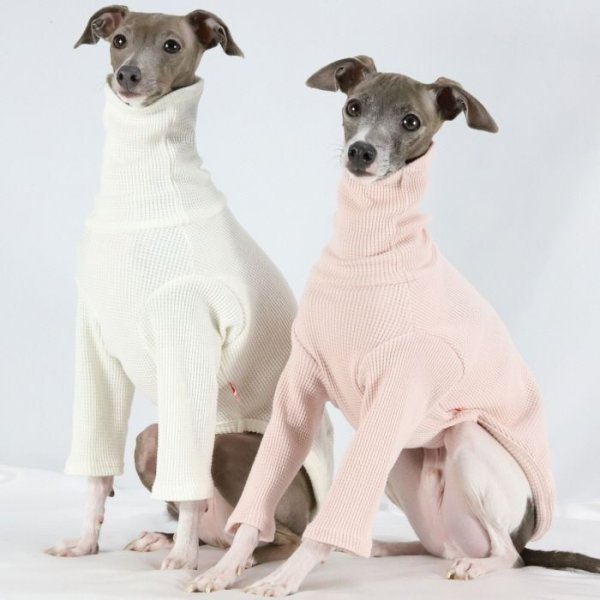 画像34: イタグレ服 S M L XL 2XL 3XL ワッフル 無地 長袖  Tシャツ 小型犬 中型犬 大型犬 春夏秋冬 吸湿性 シンプル 室内着 パジャマ doggystar ドッギースター 即日発送出来ます  (34)