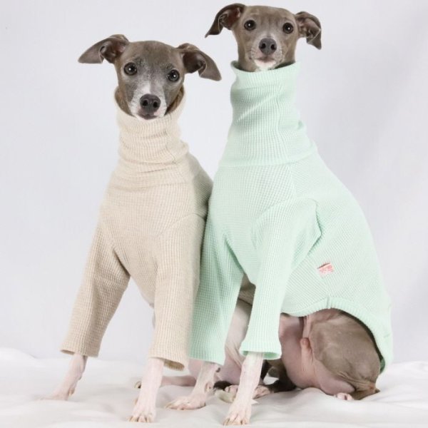 画像35: イタグレ服 S M L XL 2XL 3XL ワッフル 無地 長袖  Tシャツ 小型犬 中型犬 大型犬 春夏秋冬 吸湿性 シンプル 室内着 パジャマ doggystar ドッギースター 即日発送出来ます  (35)