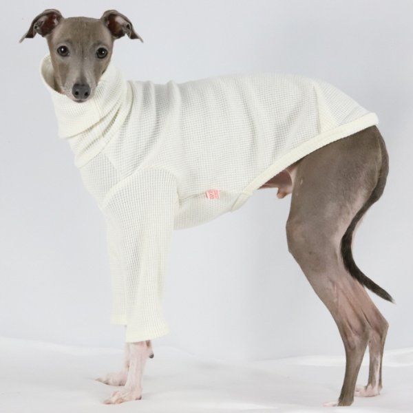 画像33: イタグレ服 S M L XL 2XL 3XL ワッフル 無地 長袖  Tシャツ 小型犬 中型犬 大型犬 春夏秋冬 吸湿性 シンプル 室内着 パジャマ doggystar ドッギースター 即日発送出来ます  (33)
