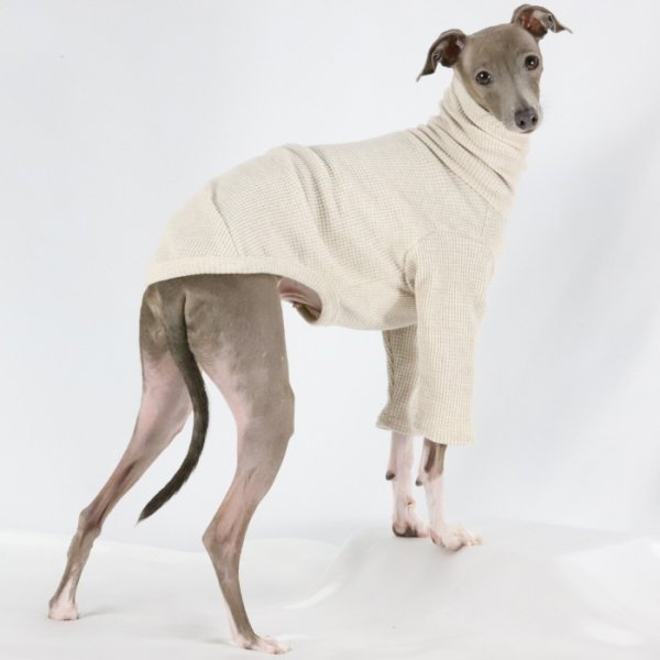 画像32: イタグレ服 S M L XL 2XL 3XL ワッフル 無地 長袖  Tシャツ 小型犬 中型犬 大型犬 春夏秋冬 吸湿性 シンプル 室内着 パジャマ doggystar ドッギースター 即日発送出来ます  (32)