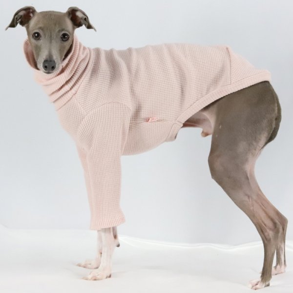 画像31: イタグレ服 S M L XL 2XL 3XL ワッフル 無地 長袖  Tシャツ 小型犬 中型犬 大型犬 春夏秋冬 吸湿性 シンプル 室内着 パジャマ doggystar ドッギースター 即日発送出来ます  (31)